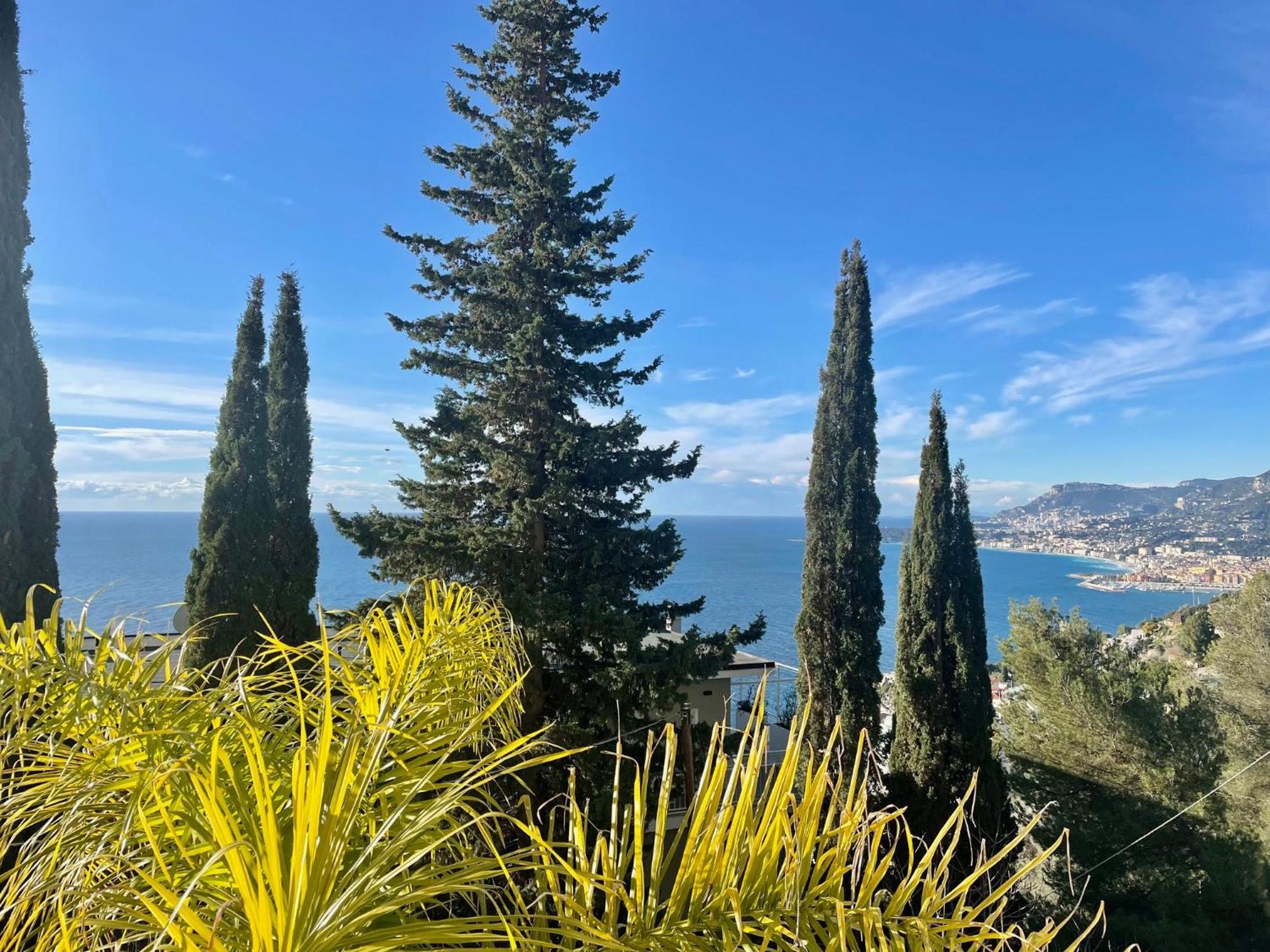 Modern Seaview Villa With Pool Above Monaco グリマルディ エクステリア 写真