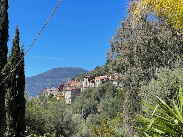 Modern Seaview Villa With Pool Above Monaco グリマルディ エクステリア 写真