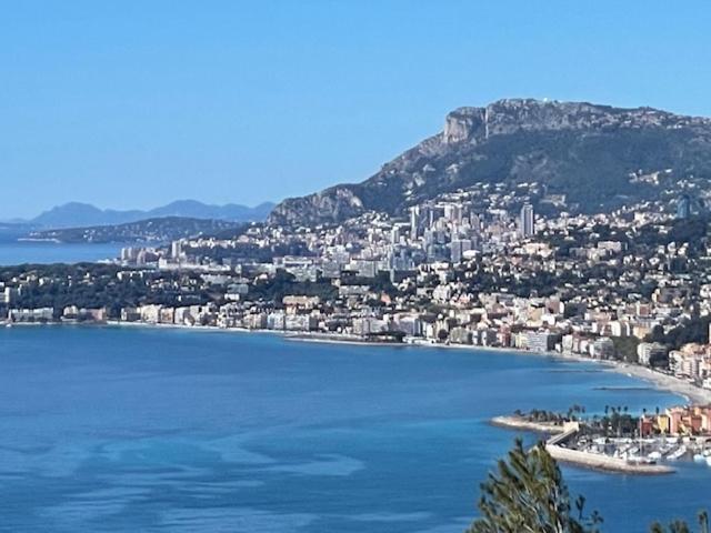 Modern Seaview Villa With Pool Above Monaco グリマルディ エクステリア 写真